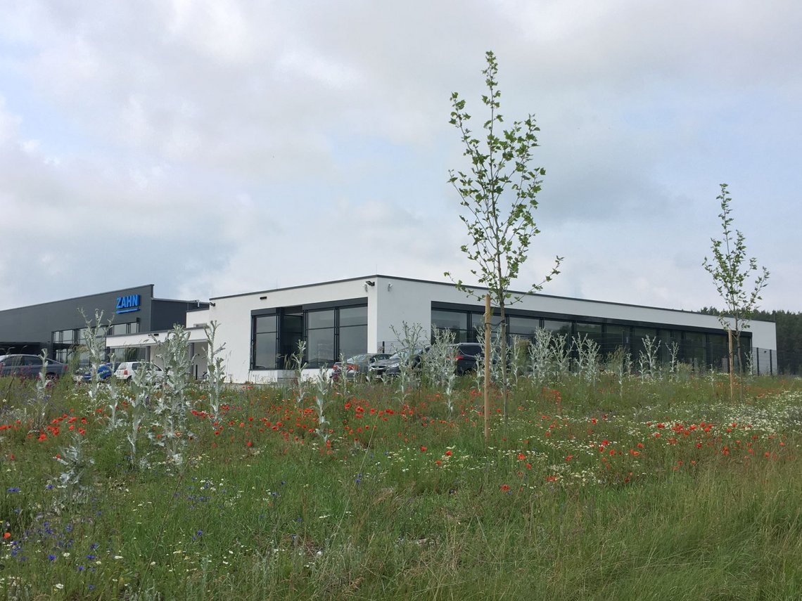 Wildblumenwiese mit Firmengebäude