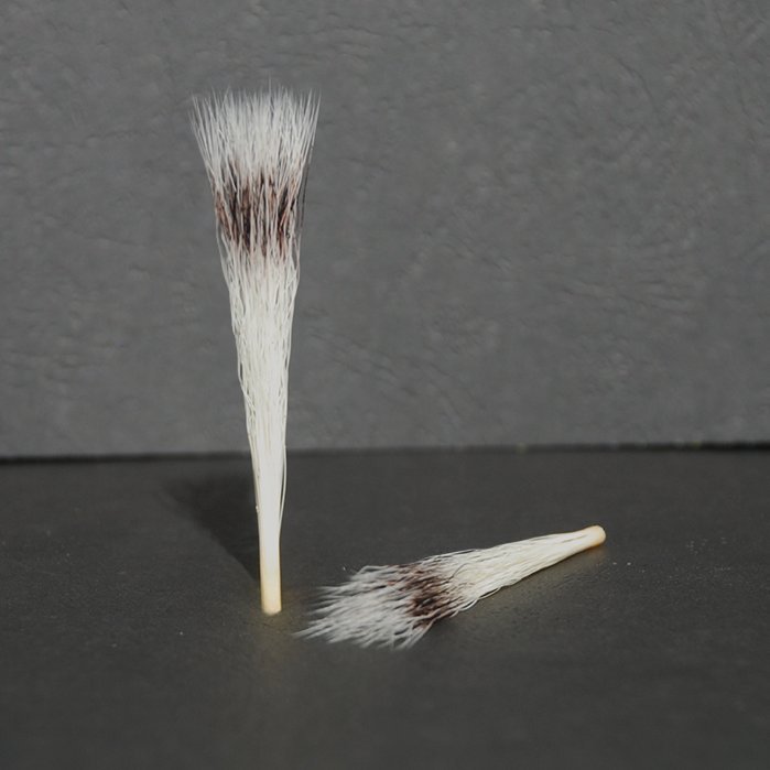 Haarbündel brush tuft Synthetikfaser